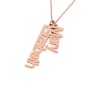 Vertical Couple Name Necklace in Rose Gold Plated - 2